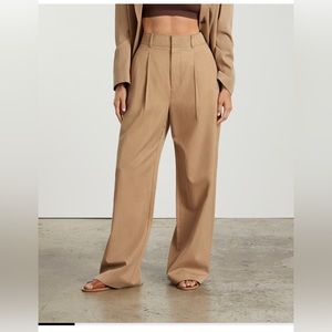 Everlane Way-High Drape Pant